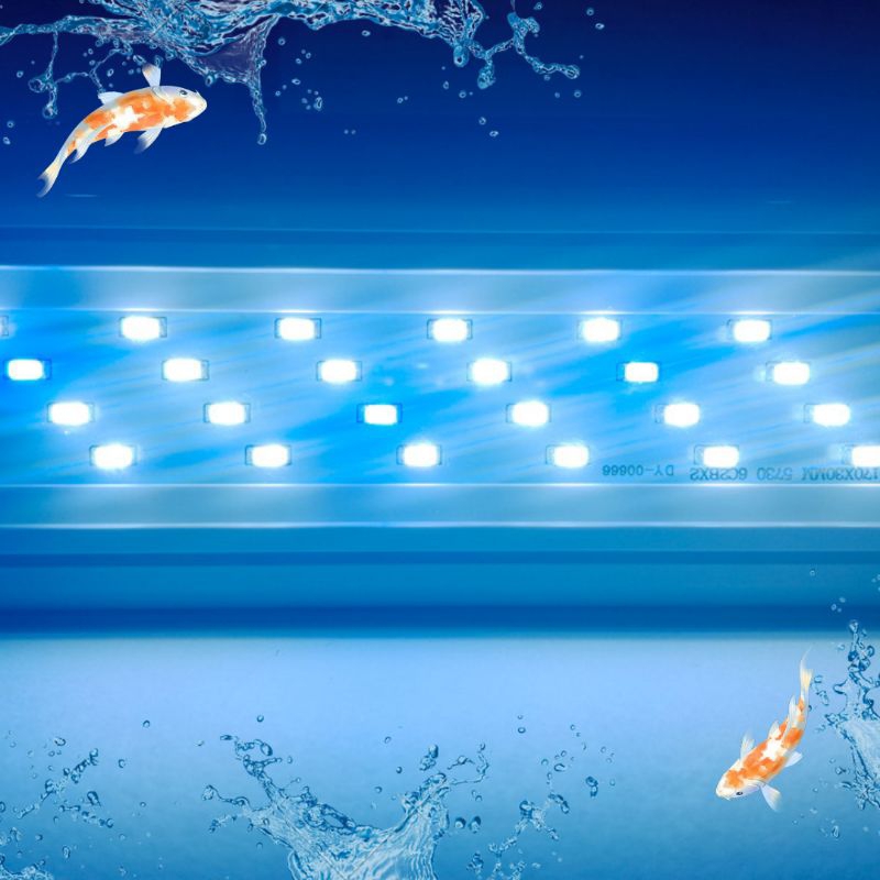 LAMPU ATAS AQUARIUM LED LUCKINESS 658