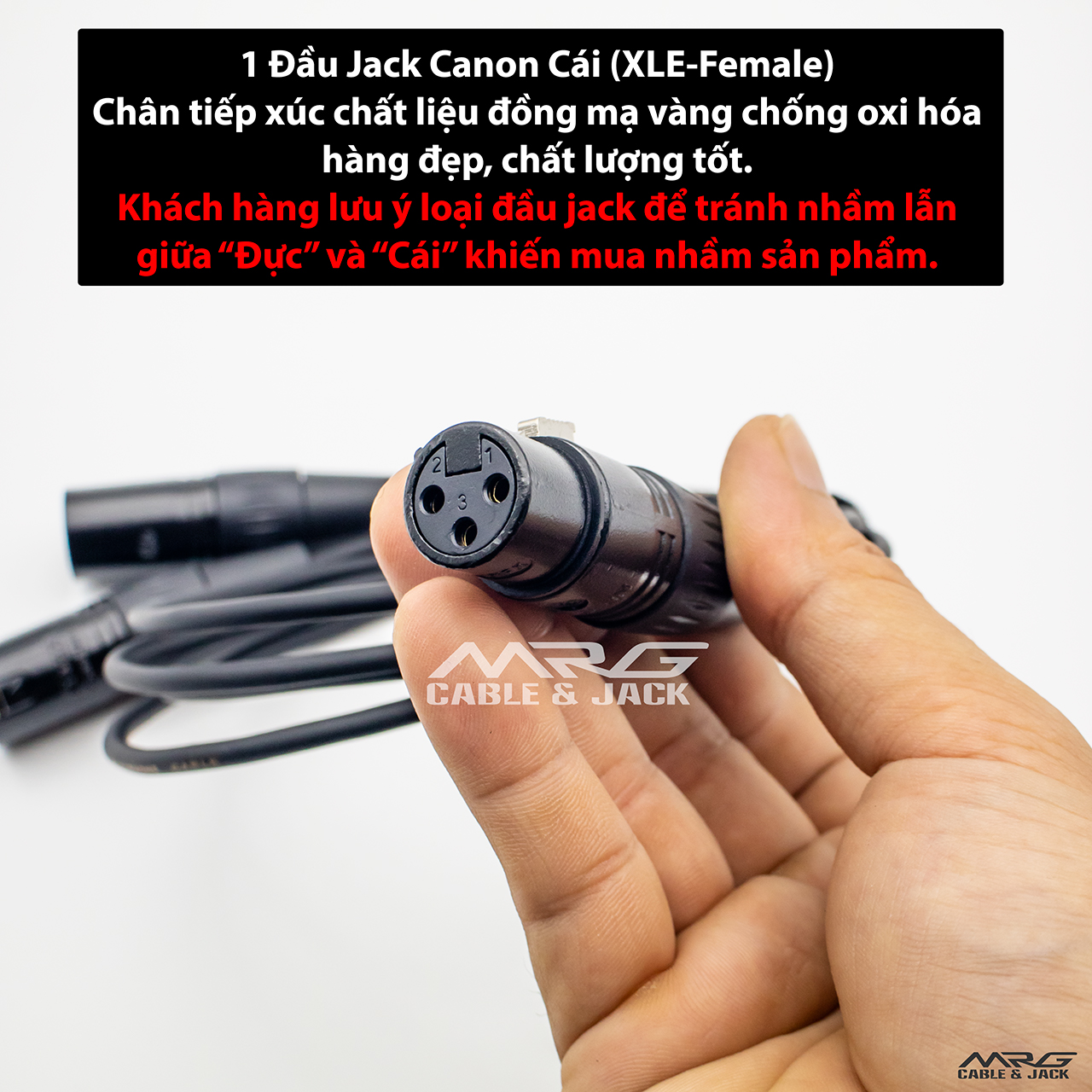 Dây canon cái ra 2 đầu canon đực
