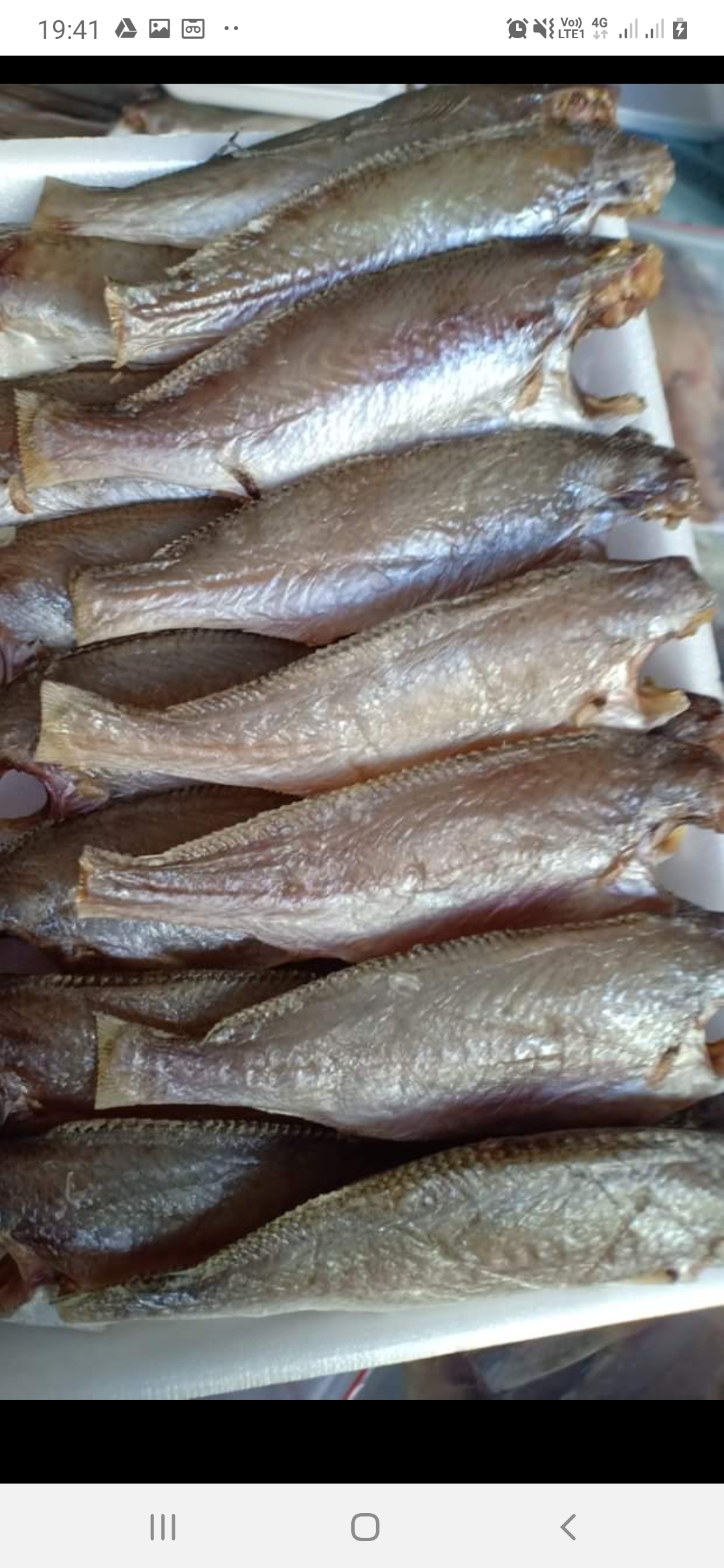 1KG CÁ ĐÙ KHÔ DAI NGON