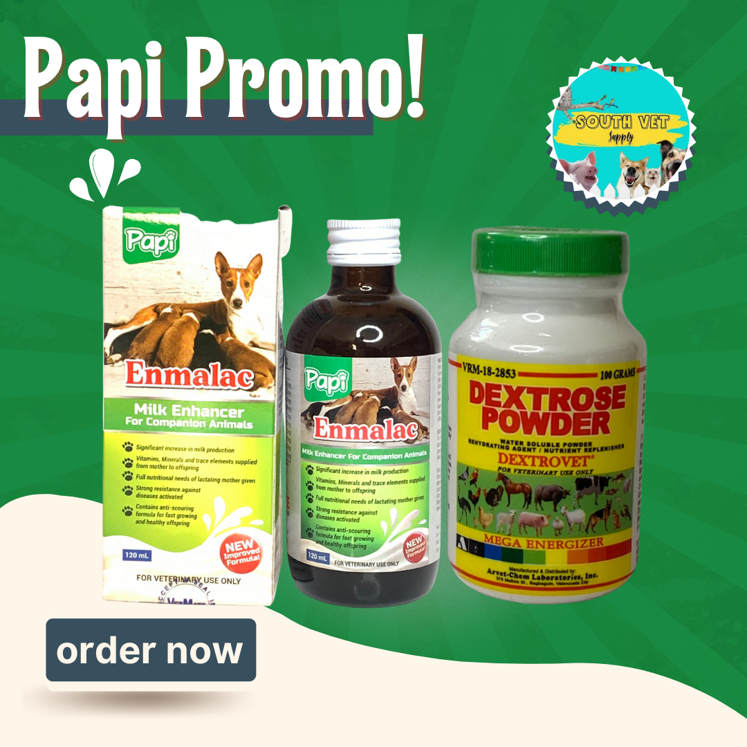 SOUTH VET] PAPI ENMALAC MILK ENHANCER WITH DEXTROSE POWDER
