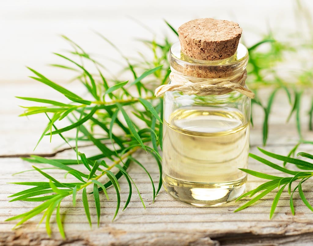 Tinh Dầu Tràm Huế Nguyên Chất 100ml