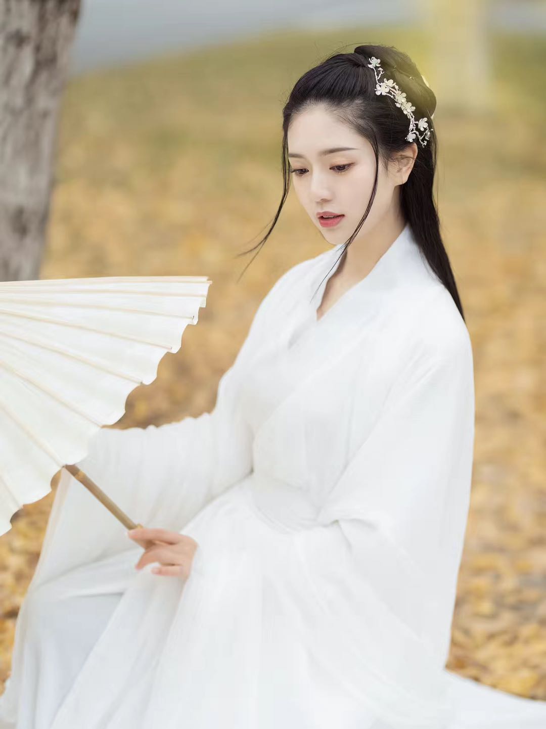 Chivalrous costume Hanfu female ancient beauty Wei Jinfeng elegant ...