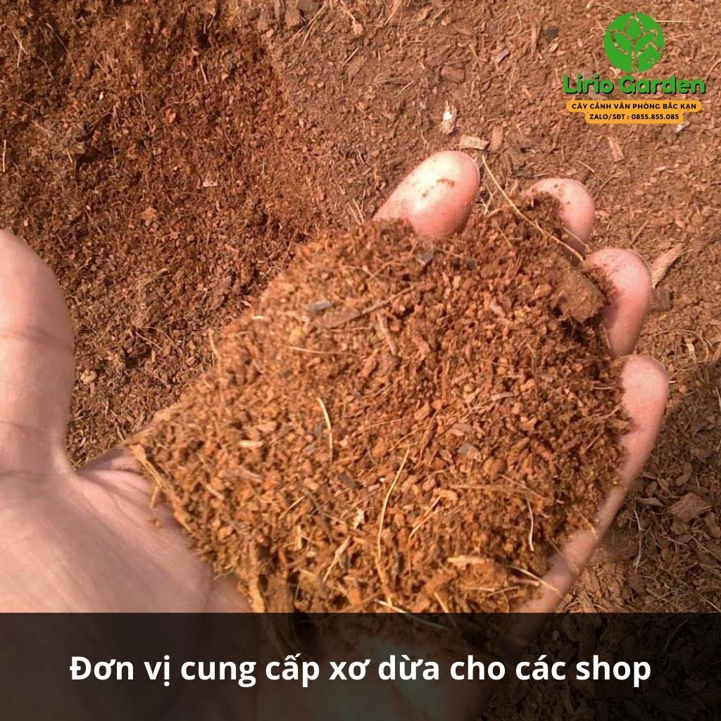 1kg xơ dừa xay