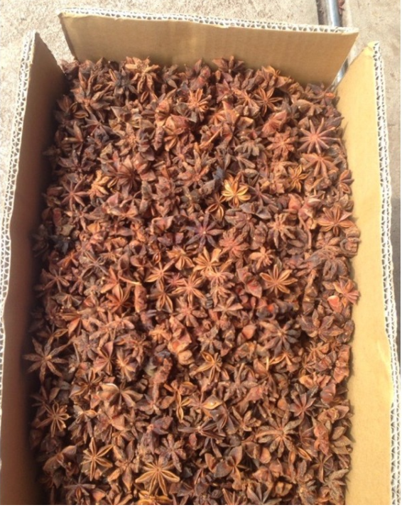 Hoa Hồi Tứ Xuyên 100g [Gia Vị Khô]