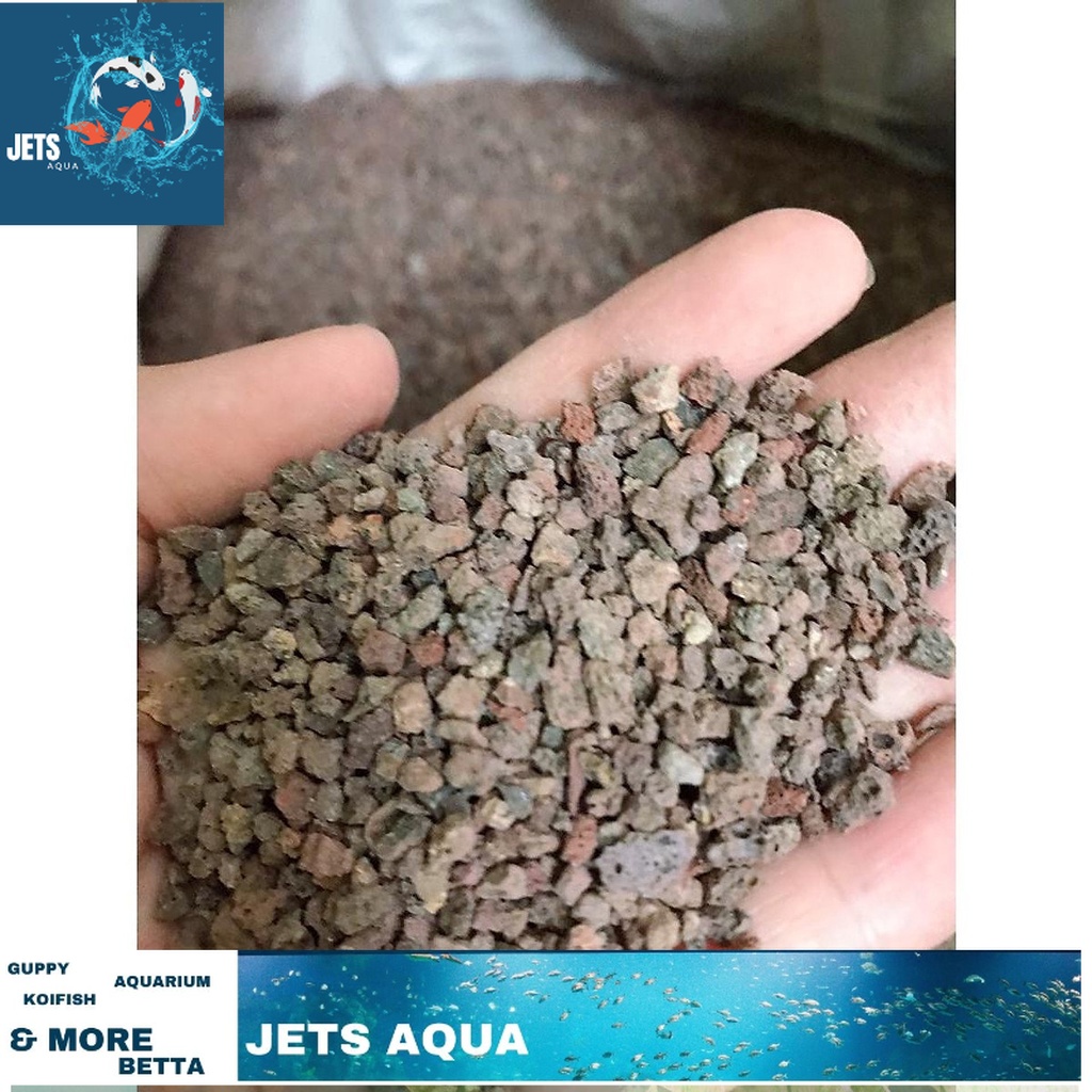 Nham Thạch Vụn Trải Nền Bể Cá (1kg) - Giá sỉ tốt hơn
