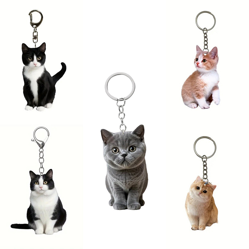 1pcBlack And White Cat Keychain, 2D Acrylic Cat Pendant,Double-Sided Design, Animal Key Ring Charm For Backpacks & Gifts LUKE