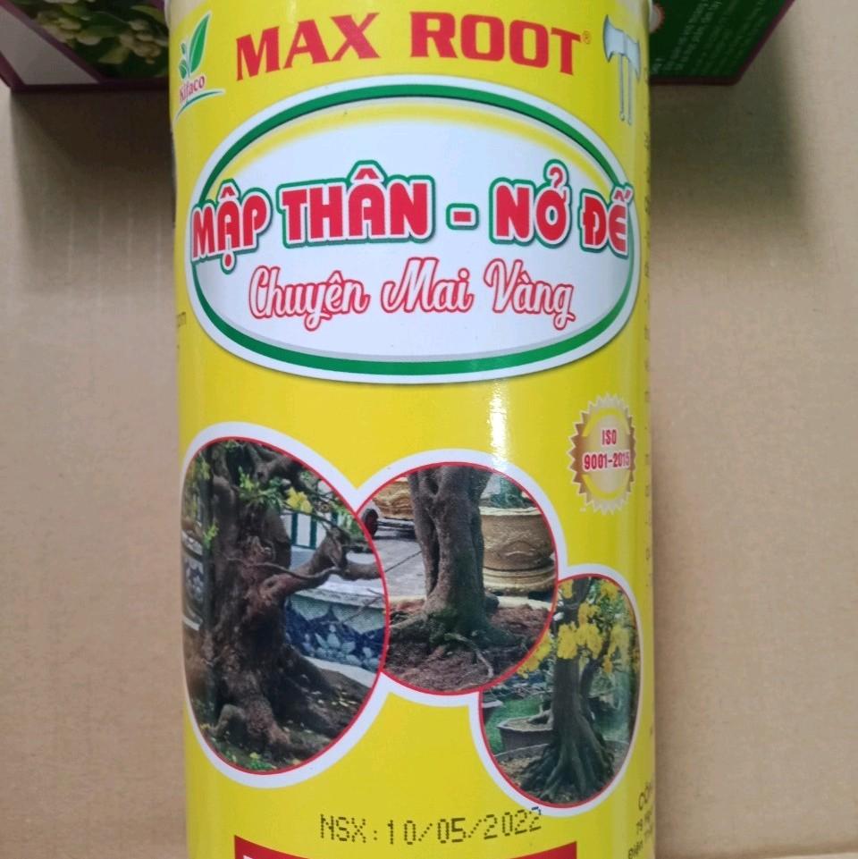MẬP THÂN NỞ ĐẾ