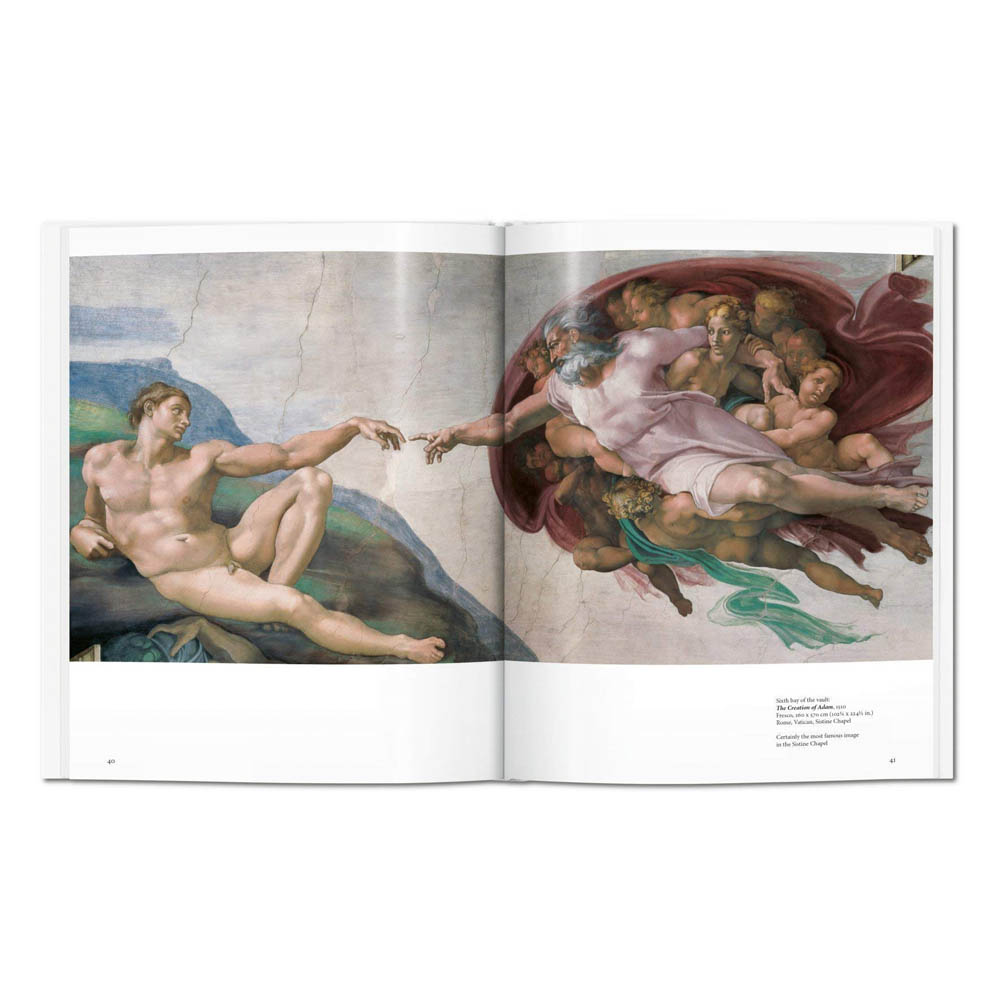 Artbook - Sách Art - Michelangelo