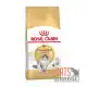 Royal Canin Feline Norwegian Forest Cat Dry Food 2kg. 