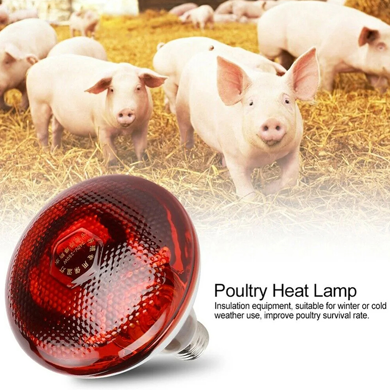 275W%20Poultry%20Infrared%20Heat%20Lamp%20Waterproof%20Anti-Explosion%20Thickened%20Light%20Bulbs%20%E2%80%8BFor%20Piglet%20Chicken%20Duck%20Birds%20E27%20Heating%20Lamp%20-%20Image%208