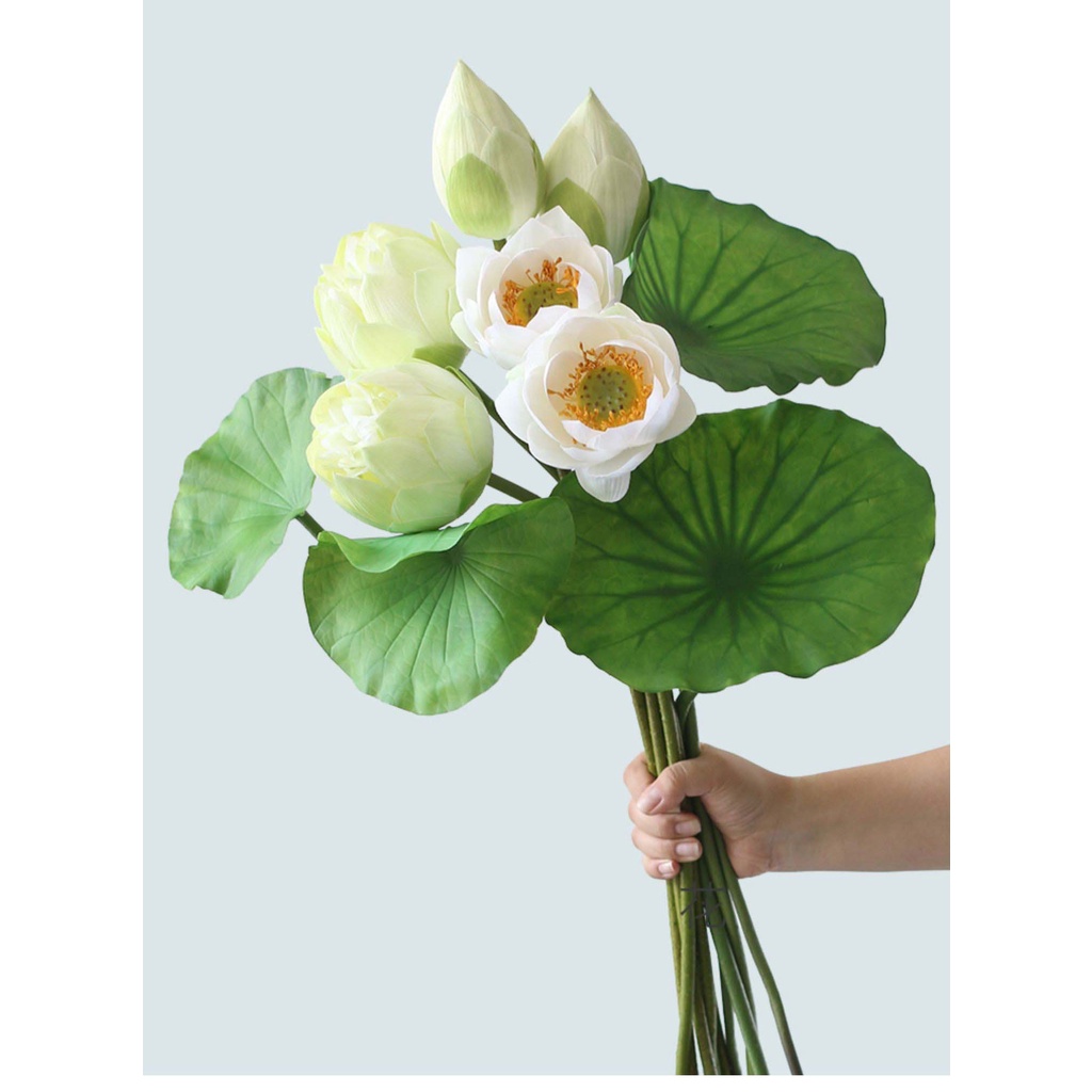 Hoa Sen Giả, Hoa Sen Quan Âm Lụa