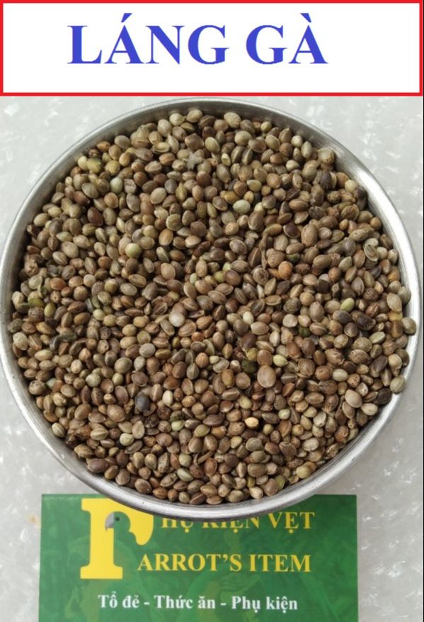 1Kg hạt Láng gà cho thú cưng,vẹt và chim