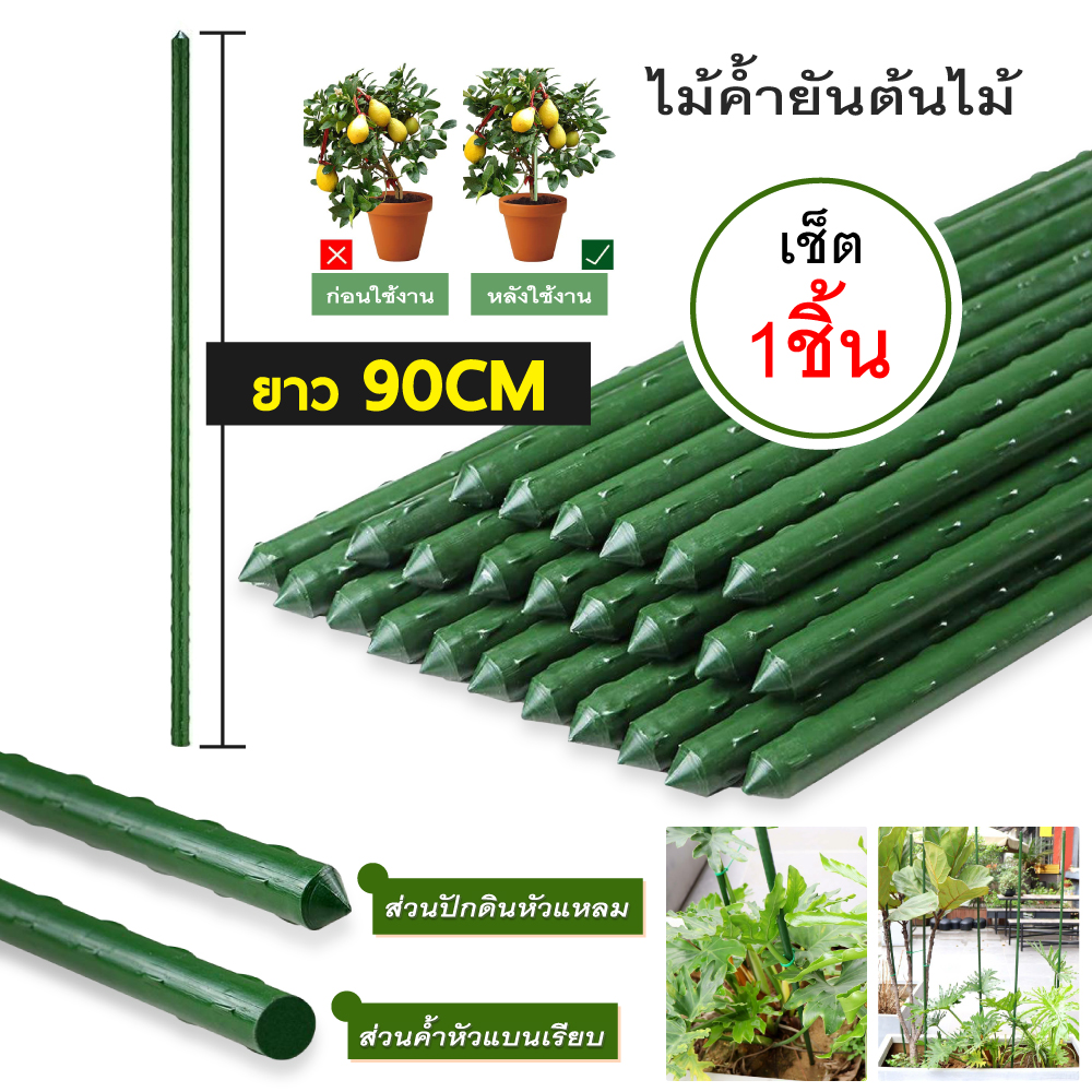 ไม้ค้ำยันต้นไม้ ไม้ค้ำต้นไม้ ค้างต้นไม้ ซุ้มต้นไม้ ค้างผัก plants