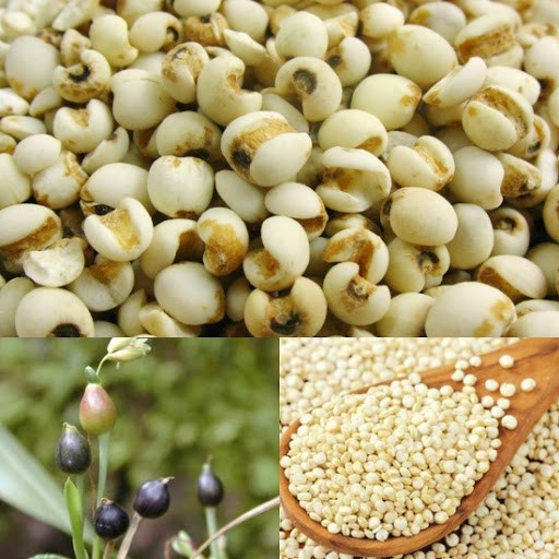 1Kg Hạt Bobo còn nguyên hạt Thiên Long dẻo