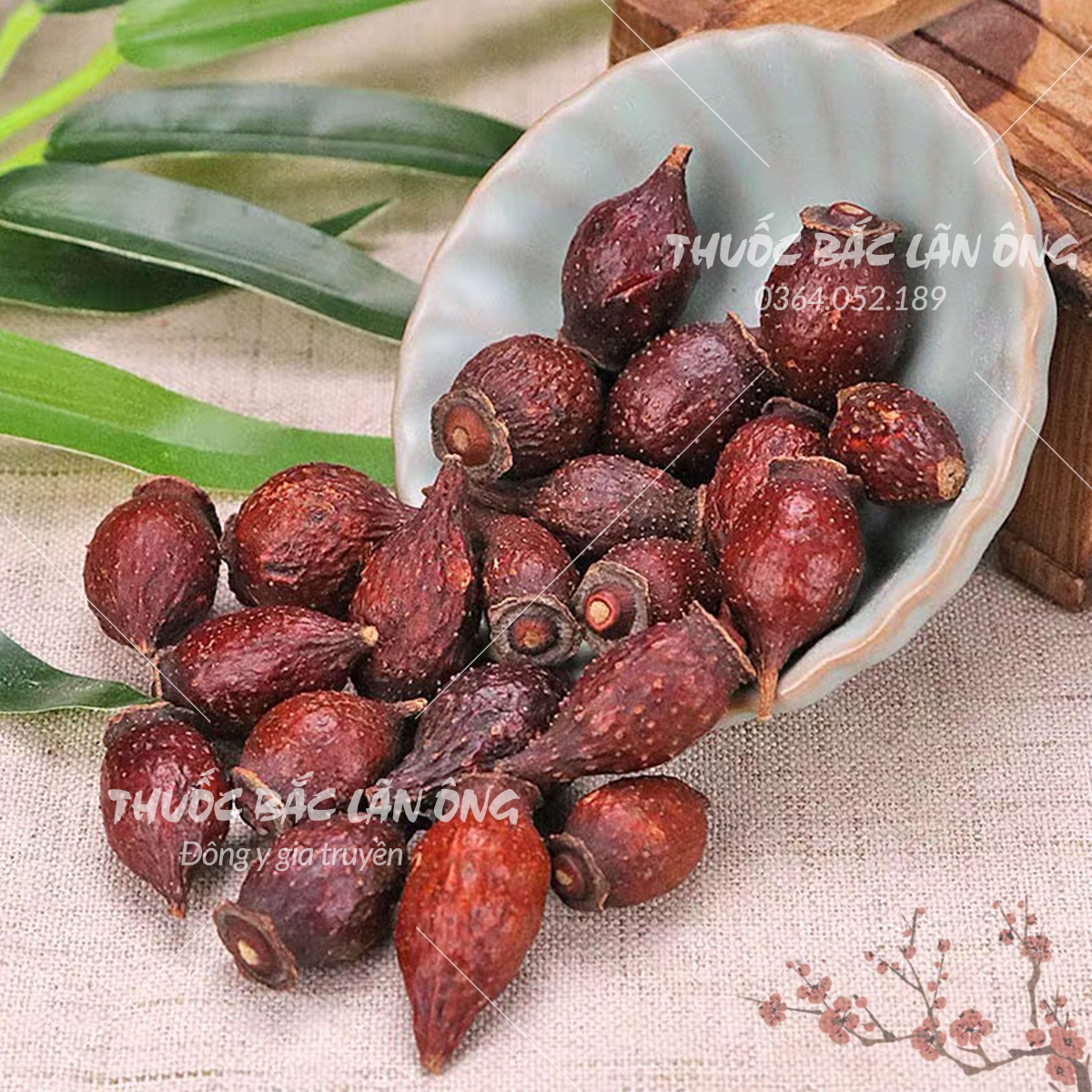 Kim anh tử 500g, thích lê tử khô, sạch, đã tách hạt - Lãn Ông