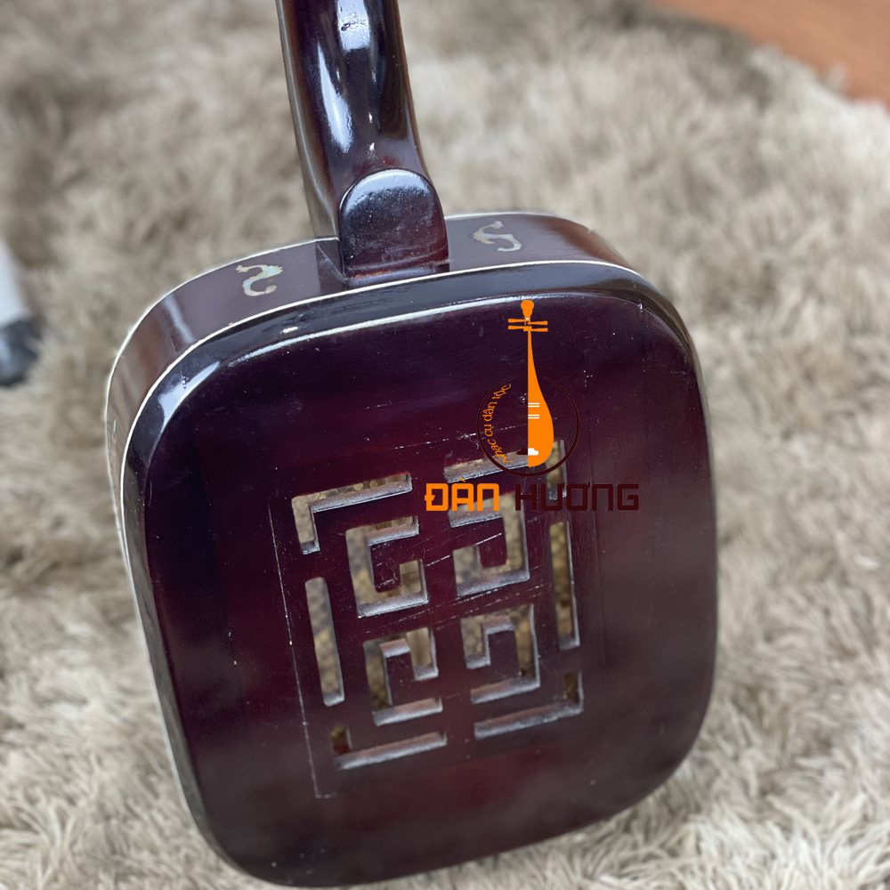 Đàn tam cỡ đại