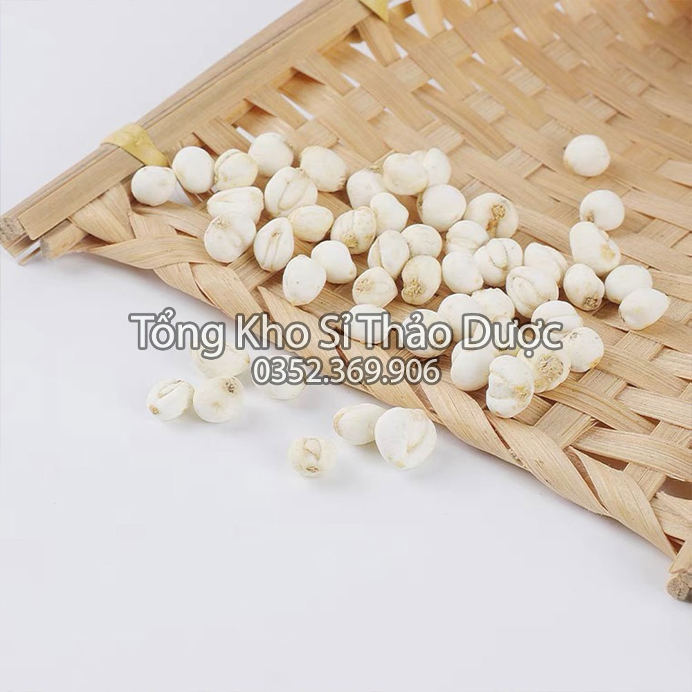 Thổ bối mẫu 100g (Bối mẫu loại 1, hạt to,thơm)