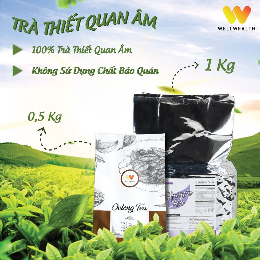 Trà Thiết Quan Âm Well Wealth 500G