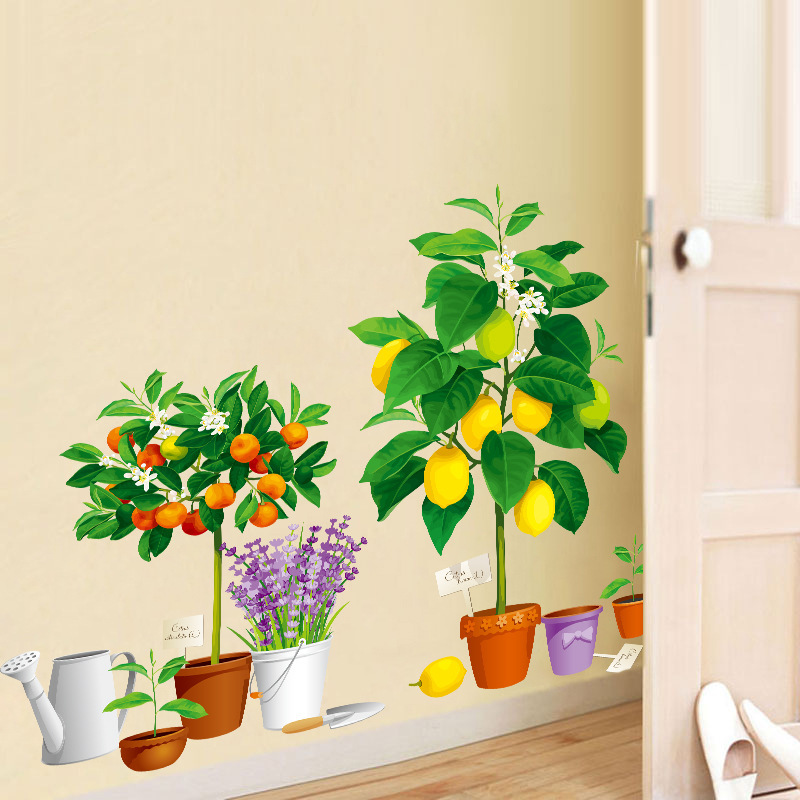DECAL DÁN TƯỜNG CHẬU CÂY LEMON TREE