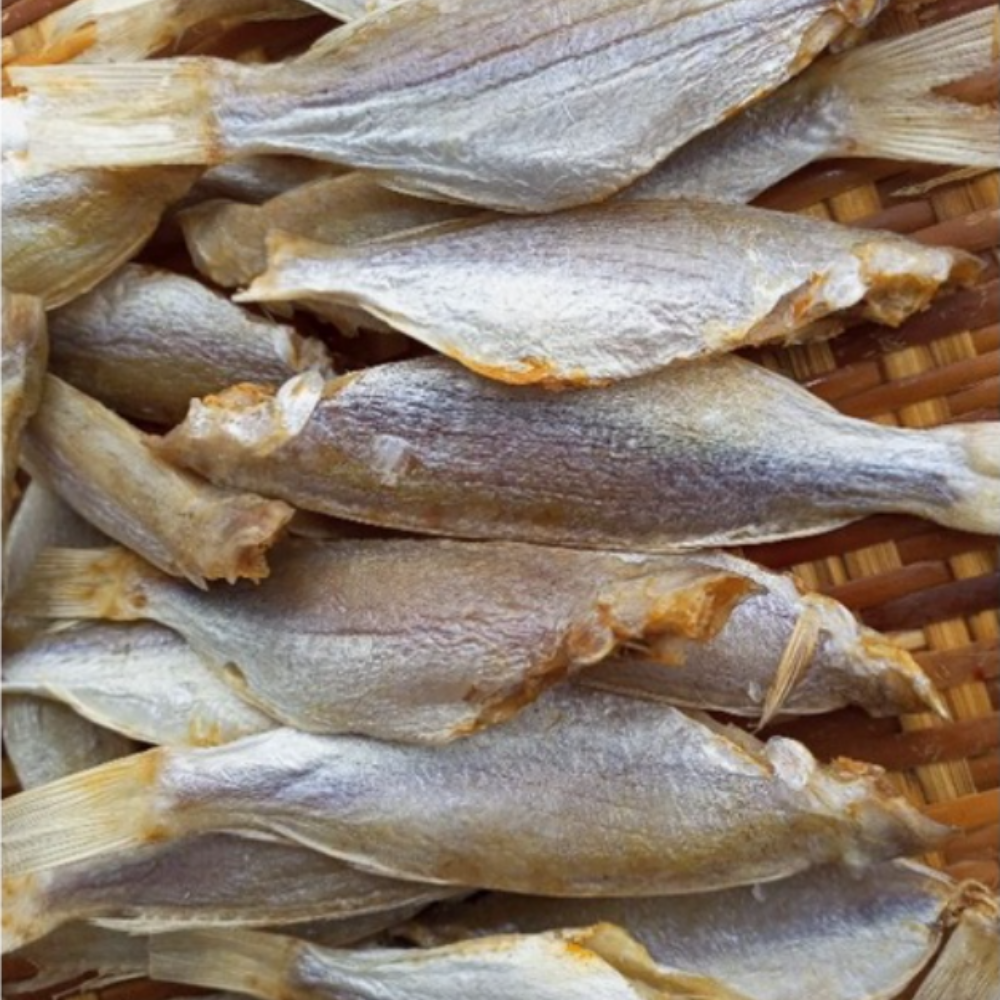 Khô cá đổng 1 nắng 1kg , dày thịt, béo thơm ngon , hàng nhà làm sạch bảo đảm an toàn vệ sinh giao hàng hút chân không bảo quản lâu cho khách hàng