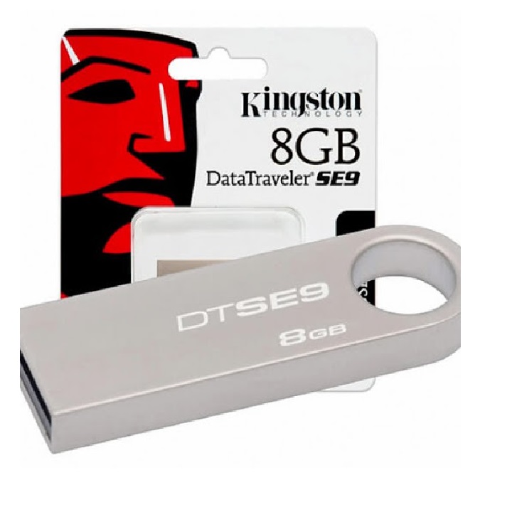 Usb 8g kingston se9