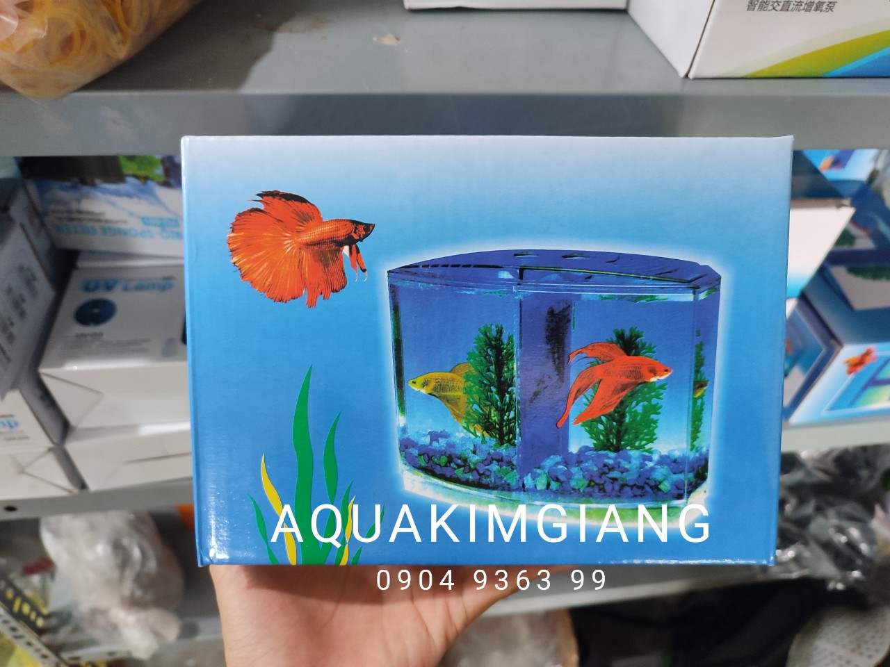 Bể cá Betta mini 2 ngăn CỰC ĐẸP