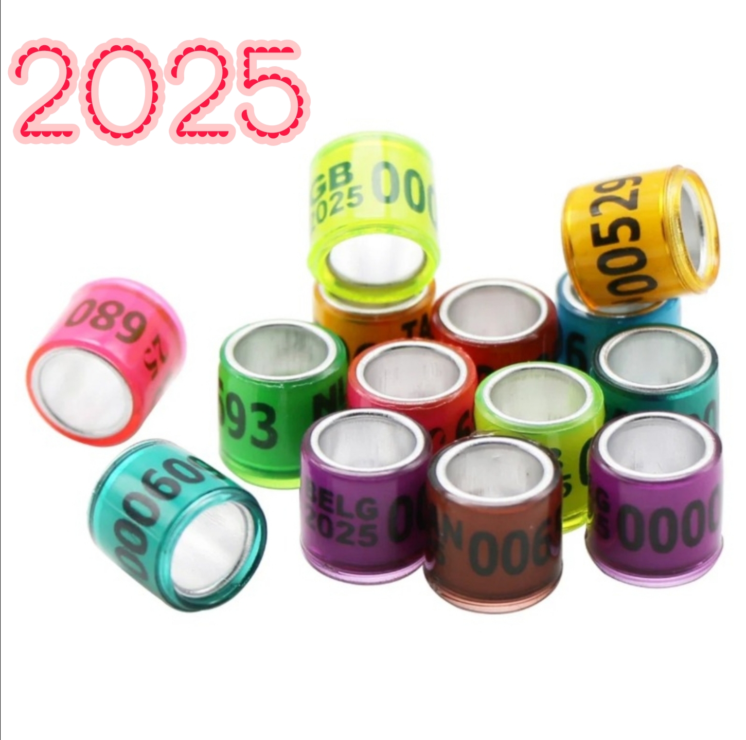 8mm%20Bird%20Foot%20Ring%20for%202025%20Racing%20Pigeon%20Rings%20Pigeon%20Leg%20Bands%20Multicolor%20-%20Image%203