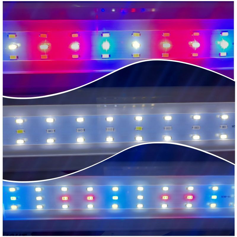 Lampu led aquarium aquascape RECENT / HIKARI AA PA 800 3X