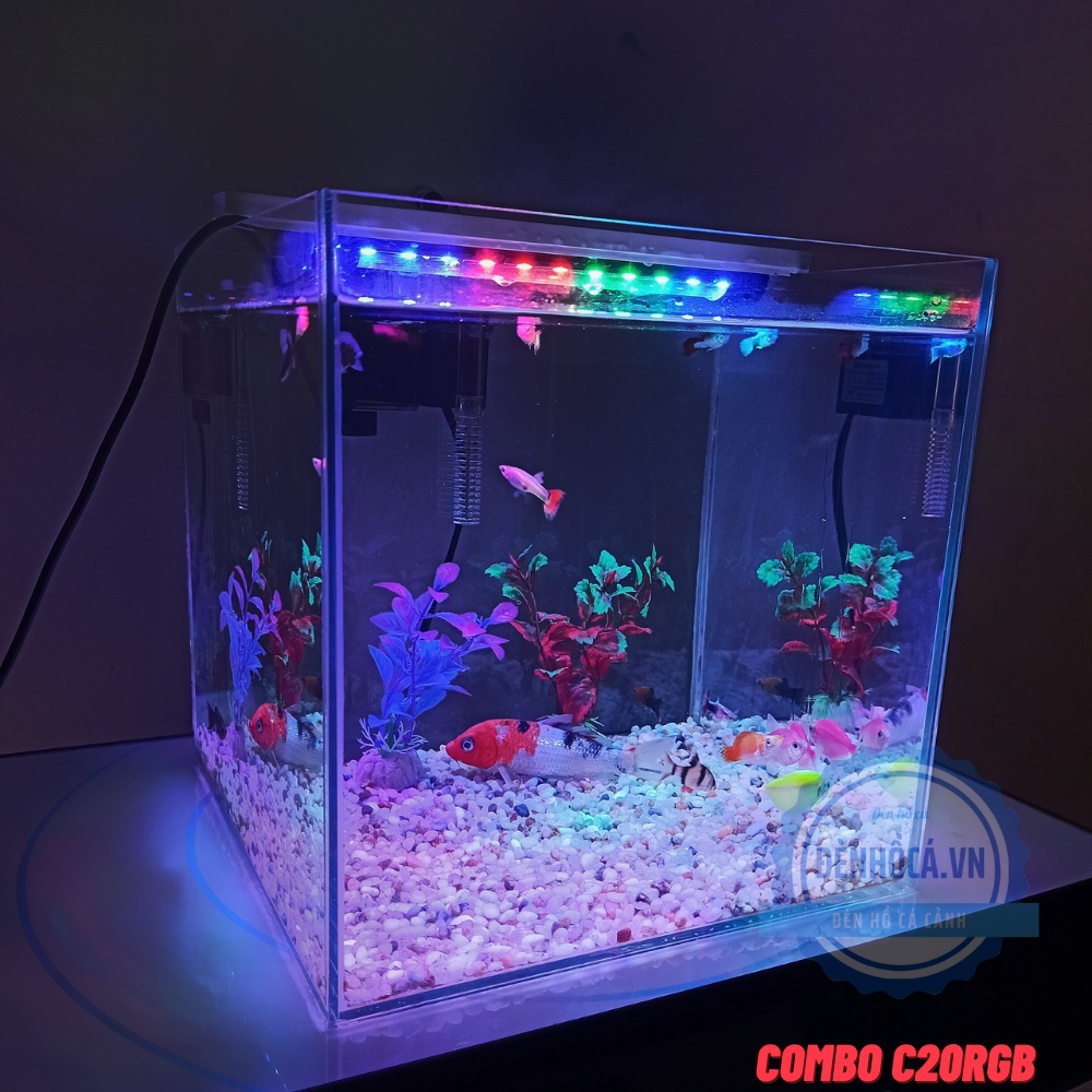 [Hoàn Tiền 10%] Hồ cá mini CUBIC 25cm để bàn