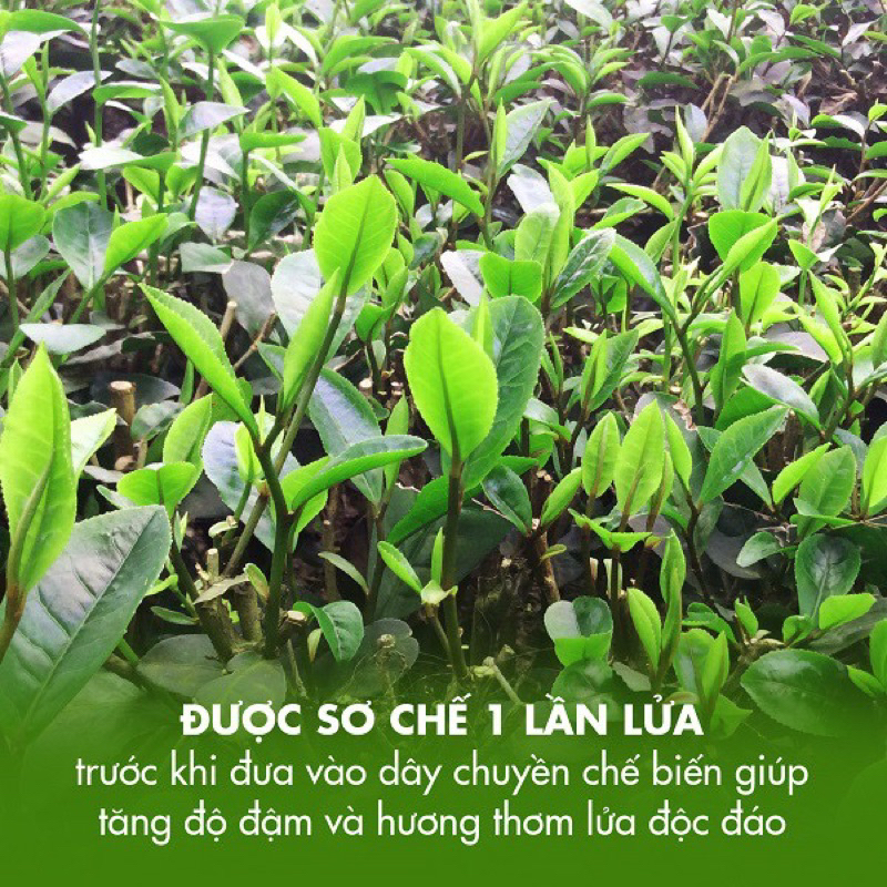 Mạt Ô Long Trà L271 DoTea Gói 500g