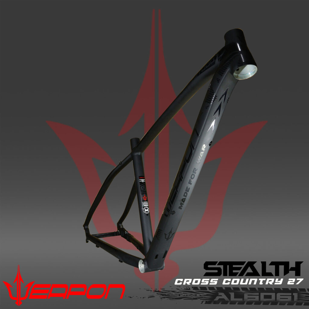 Weapon stealth 2025 frame 27.5