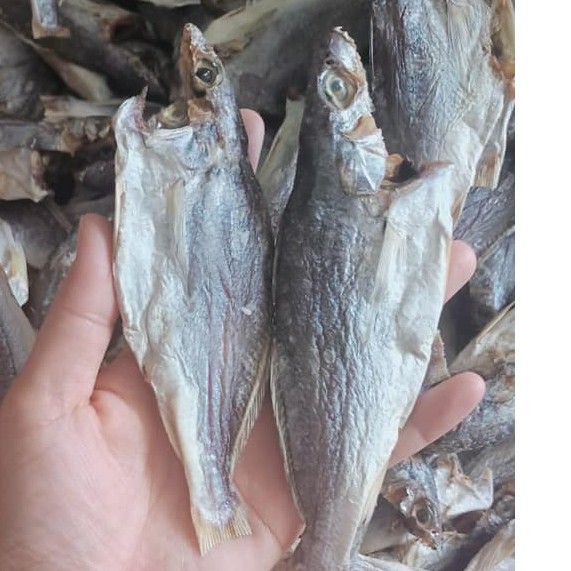 1kg cá đù khô đặc sản đà nẵng thơm ngon ngất ngây