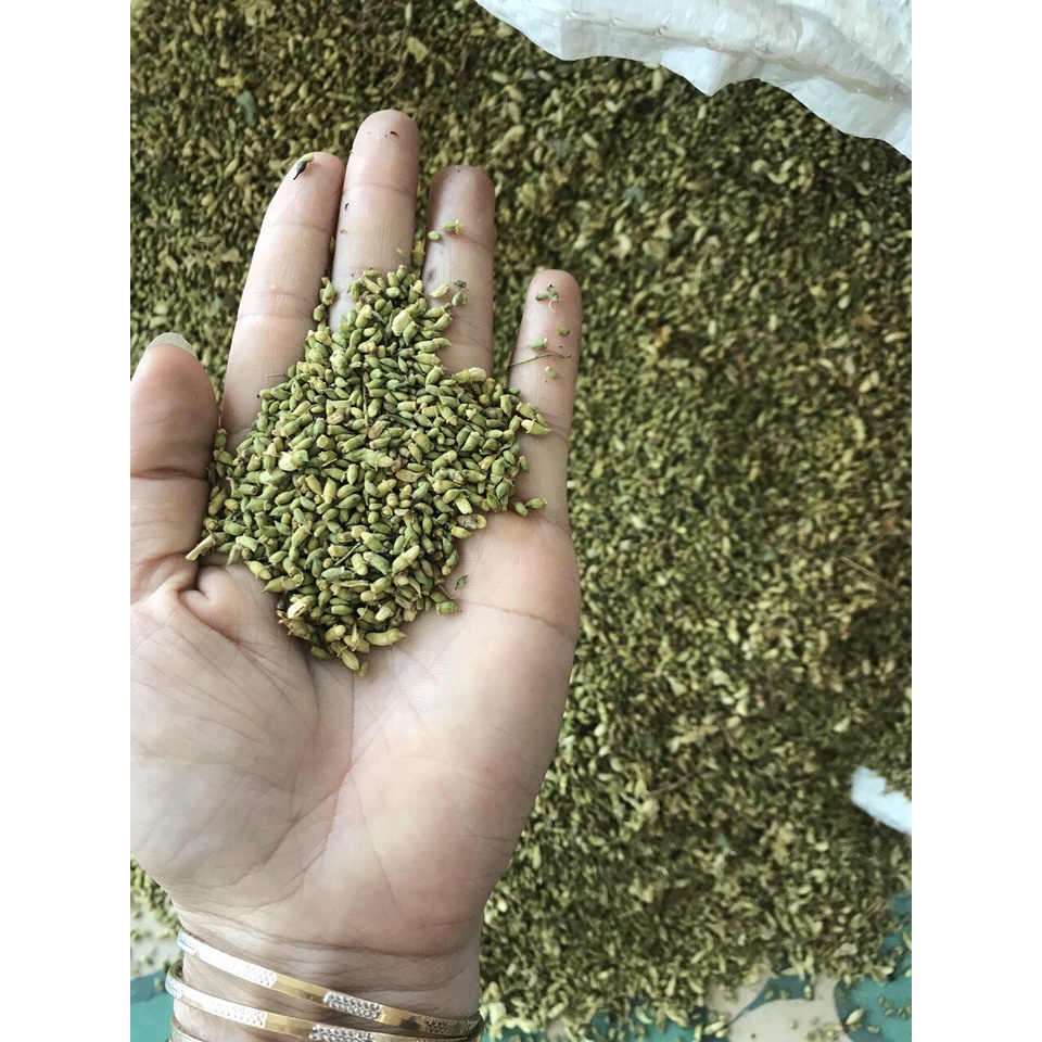 trà hoa hòe nam định 500gram