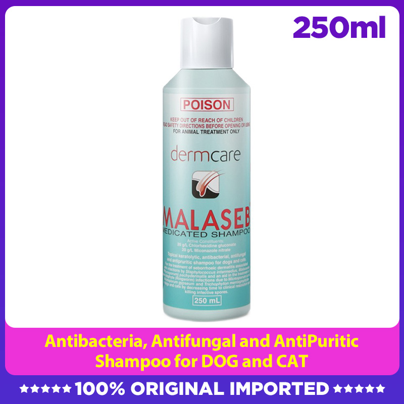 malaseb shampoo for cats