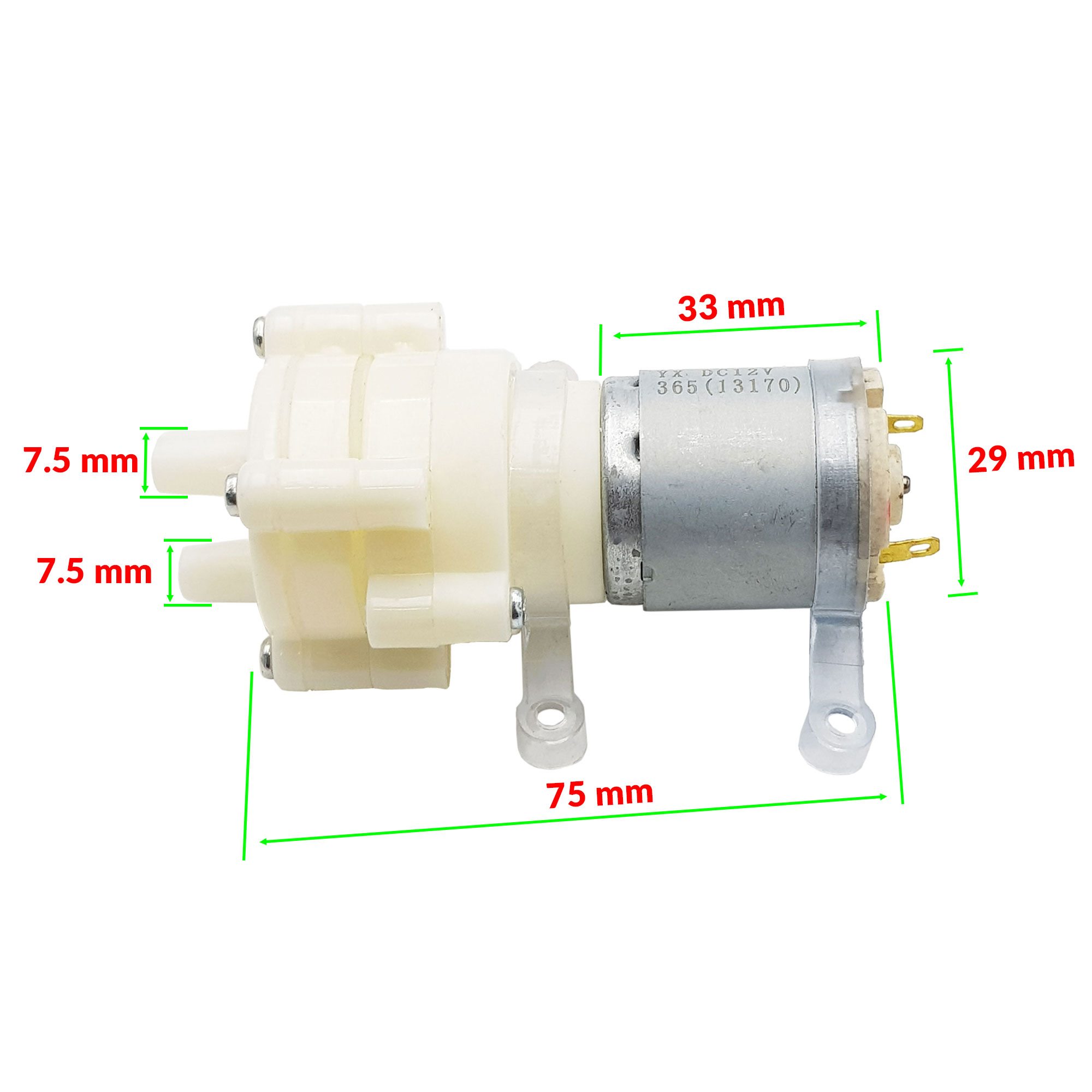 Động cơ bơm 365 12VDC