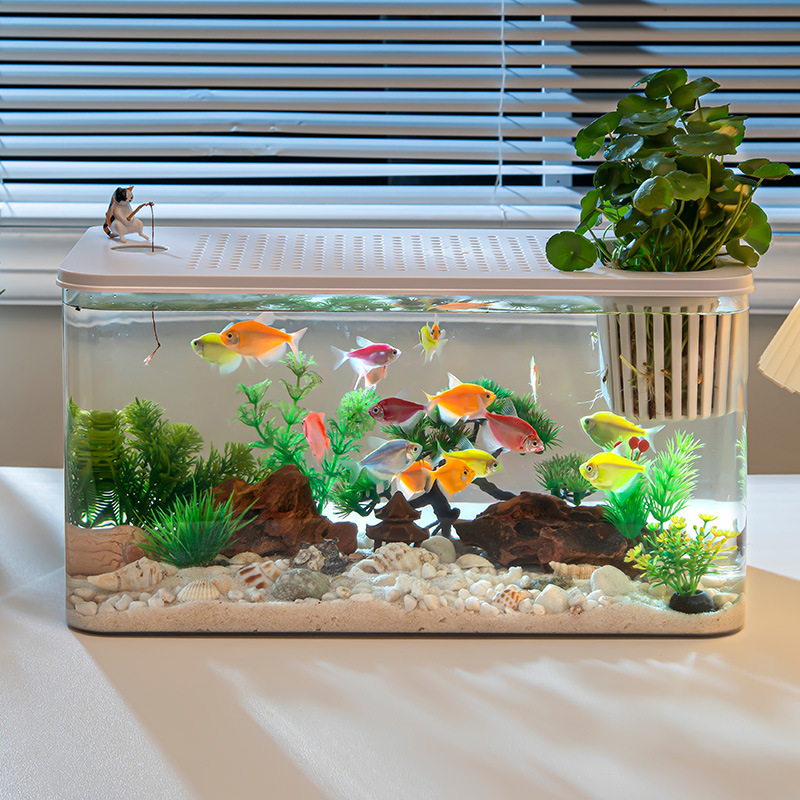 PET Transparent Fish Tank Aquarium with Cover Hydroponics Aquarium