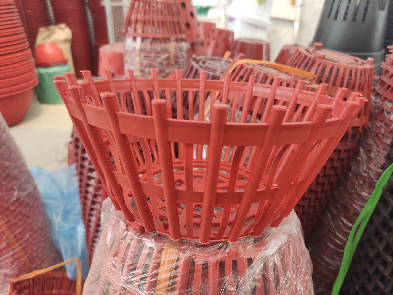 Chậu Nhựa Trồng Lan, Chậu Lan Nan Phụ ( Lan Que) PHI 20, PHI 25, PHI 30
