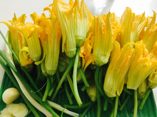 HẠT BÍ NGỌN ĂN BÔNG - GÓI 10 GRAM