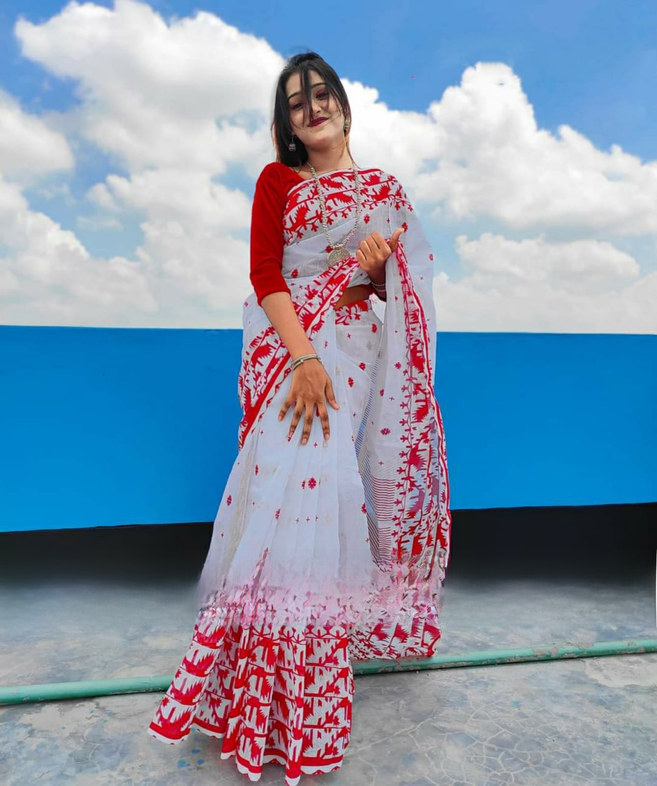 New Screen Print Half Silk Saree For Woman