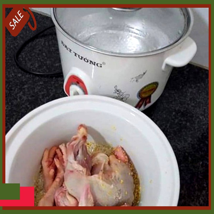 Nồi kho cá hầm cháo chậm đa năng Đạt Tường 1.5L - 2.5L
