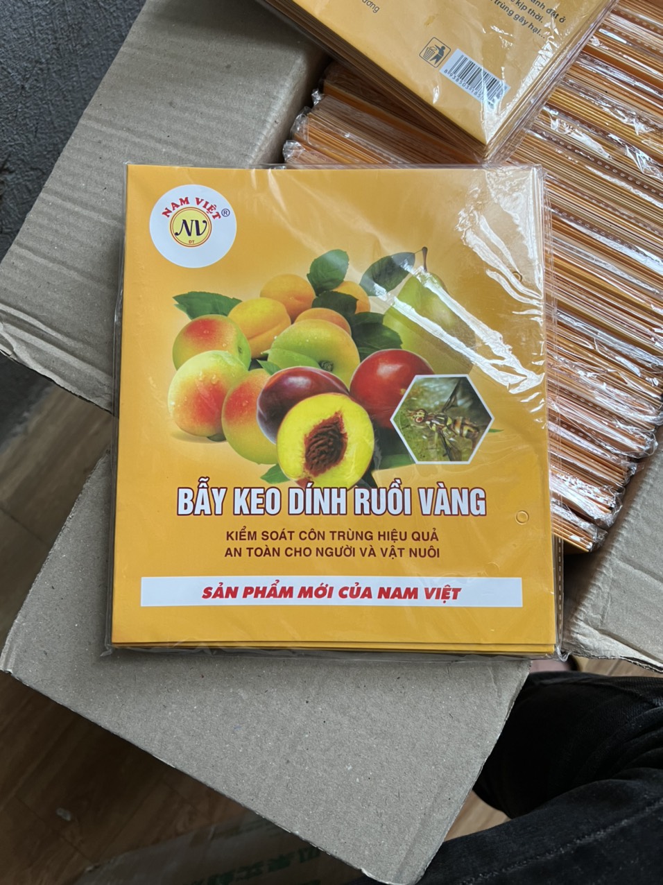 COMBO 10 MIẾNG DÁN BẪY RUỒI VÀNG