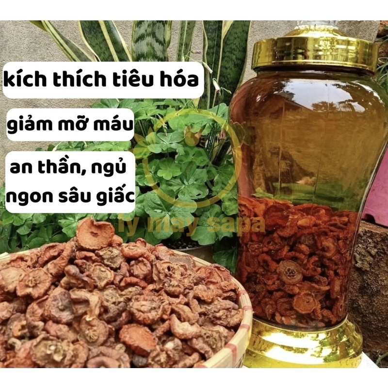 Combo 3kg Táo Mèo khô Tây Bắc ( thái tay phơi khô )