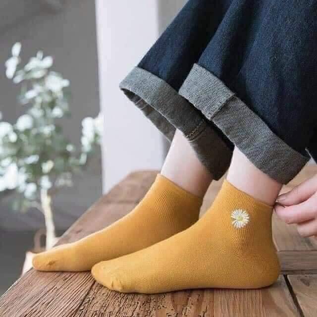 COMBO 10 đôi vớ hoa cúc Hatisu