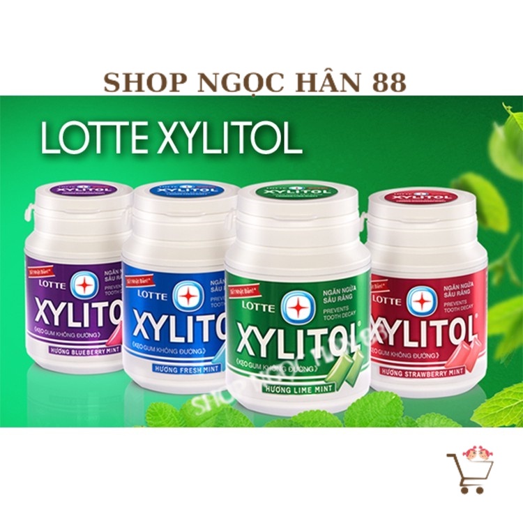 Kẹo cao su Xylitol Lotte lọ 58g đủ 4 vị