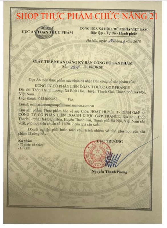 Hoạt Huyết Tiền Đình G&P