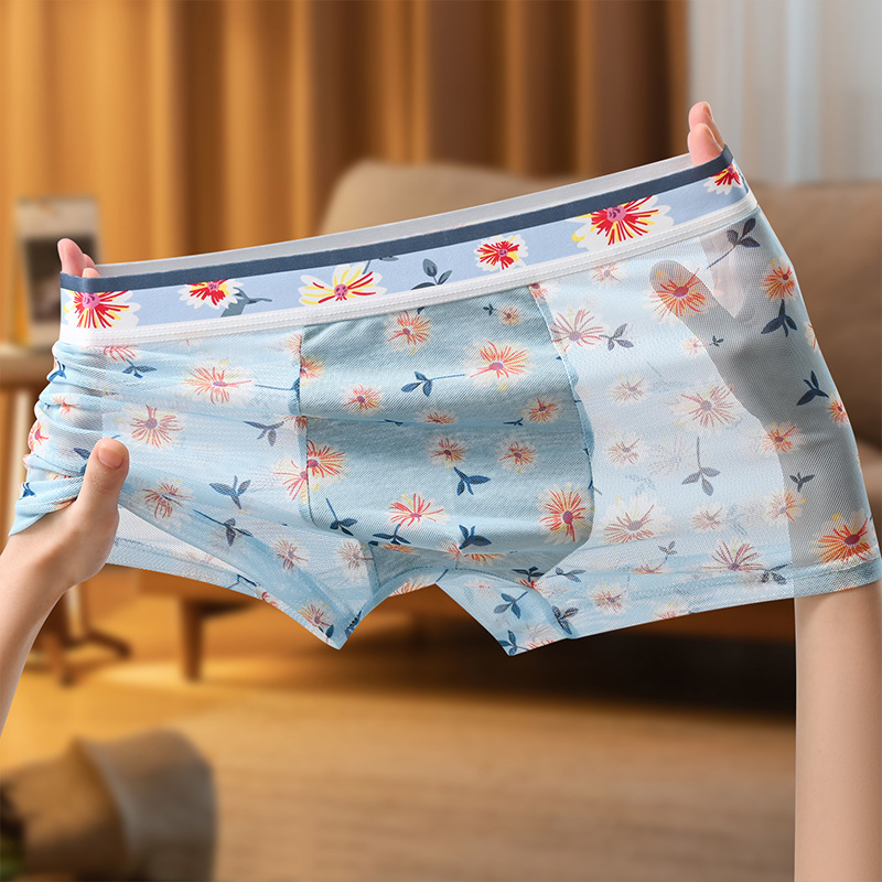 Hanlu Men's breathable mesh underwear mid-rise boxers sexy thin transparent underwear
