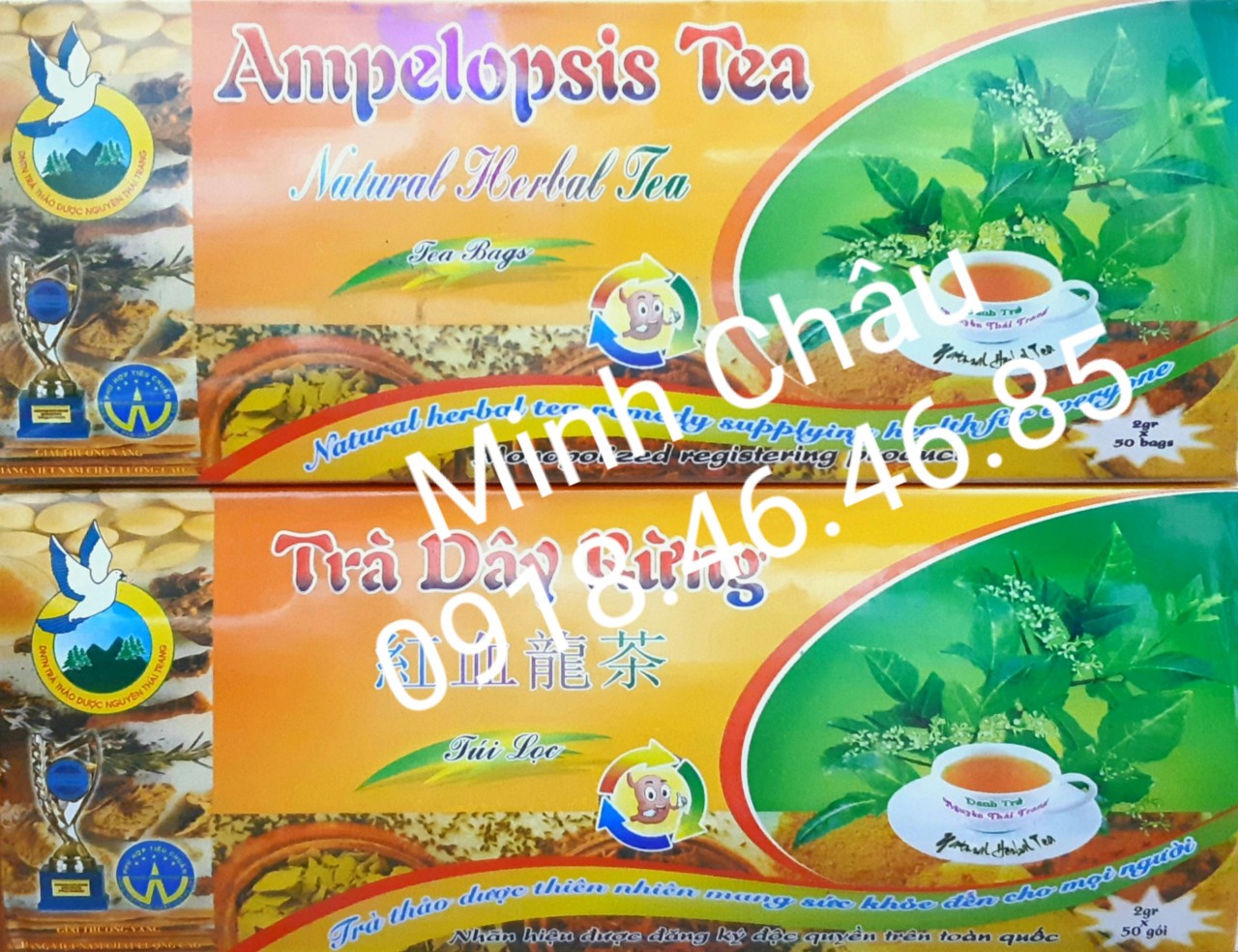 Trà Dây Rừng Nguyễn Thái Trang