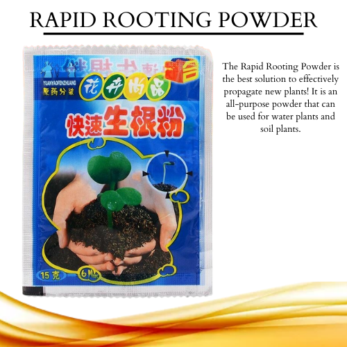 Rapid Rooting Powder Plant Growth Powder for Succulent Cactus Must Have For Plantito Plantita