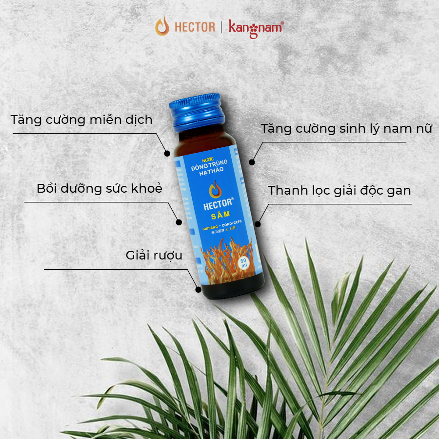 [HCM]Nước Đông Trùng Hạ Thảo Hector Sâm 50ml [Combo 2 Chai]