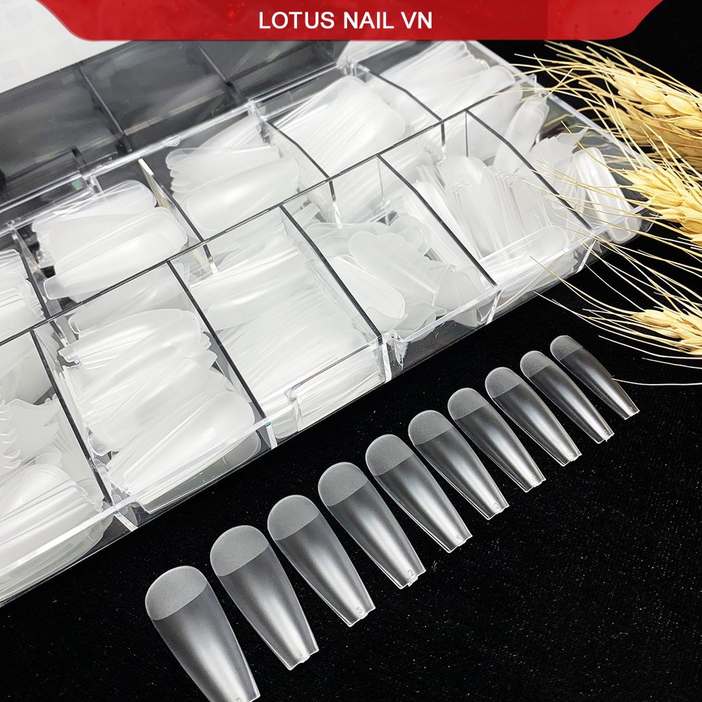 Móng úp HSM thang nhám sẵn chuẩn phom- Cheap nail